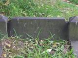 image of grave number 617221